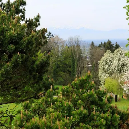 Gasthof Business Schwarzach